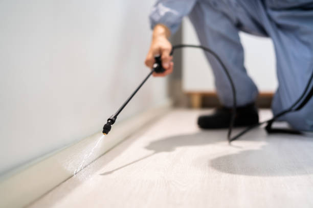 Licensed Termite Control service in Hutchinson, MN - Nex Pest Control