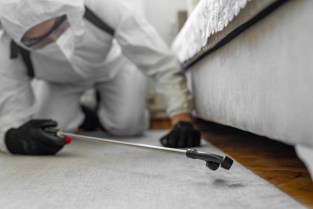 Professional Termite Control technician working in Hutchinson, MN