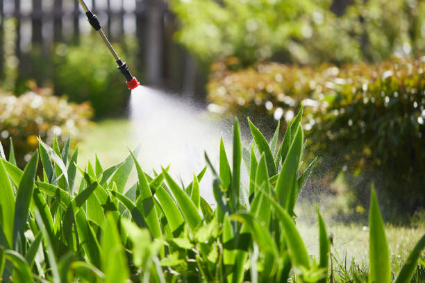 24/7 Emergency Termite Control experts in Hutchinson, MN