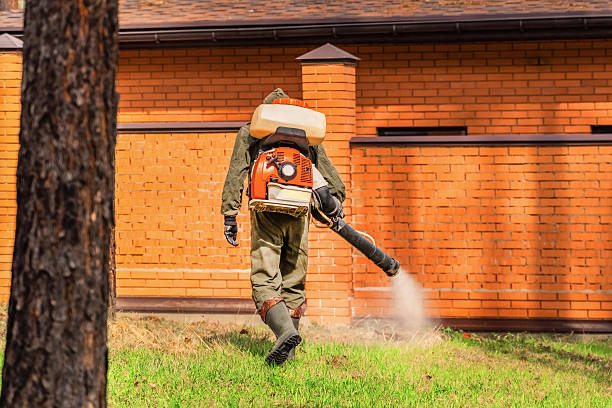 Trusted Cockroach Control service in Hutchinson, MN - Nex Pest Control